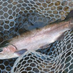 ６時間チャレンジ ～フィッシングパーク高島の泉～